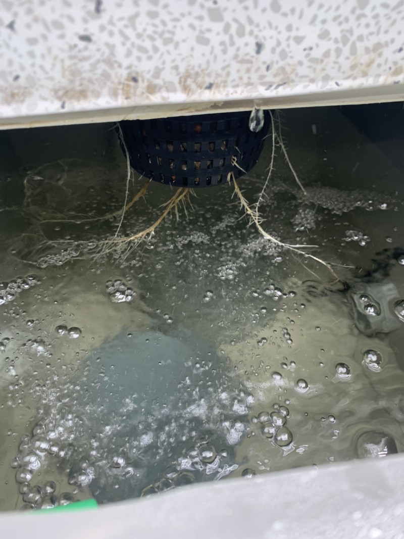 C30D65CC-6634-4D07-B903-4145B58AD415