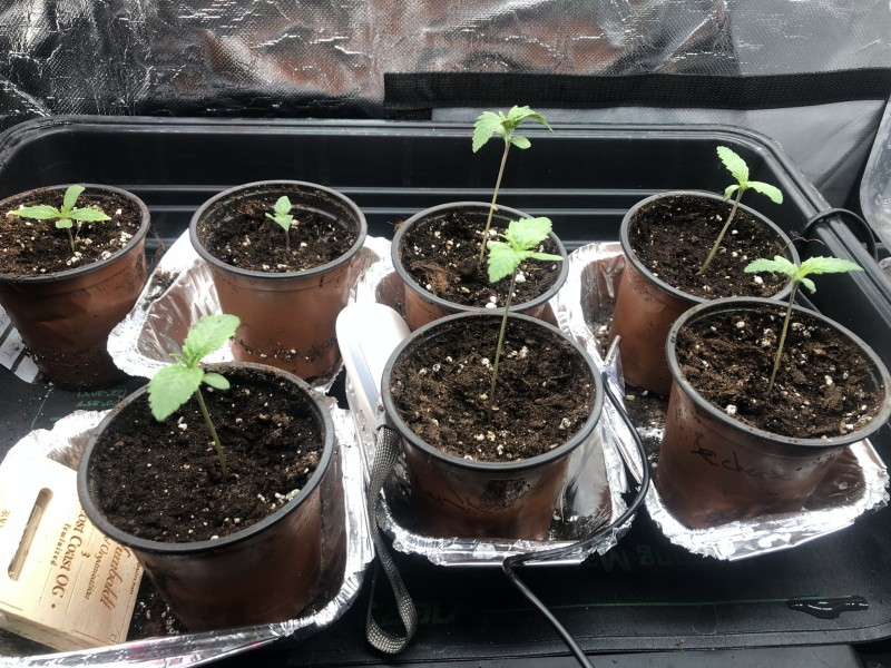 01474363-0B7E-4E69-A84A-864A90F82C67