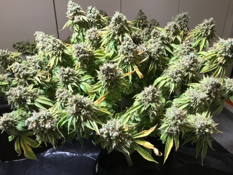 DC624863-9392-47F3-9F80-1DEC3B436A7B