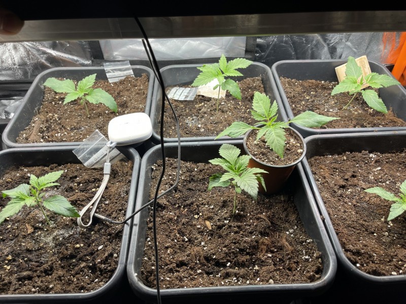 F66EC490-1877-4CCC-A5D8-6337B6EB605F