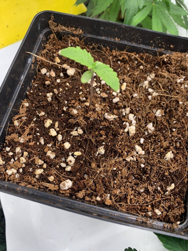 B2EC068B-63F2-46CF-94B4-8DDBCD8E2CAC