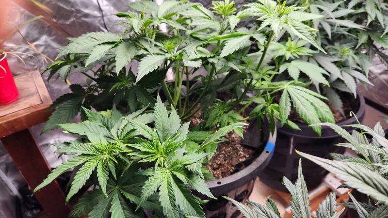 16781376324252352987604928369456