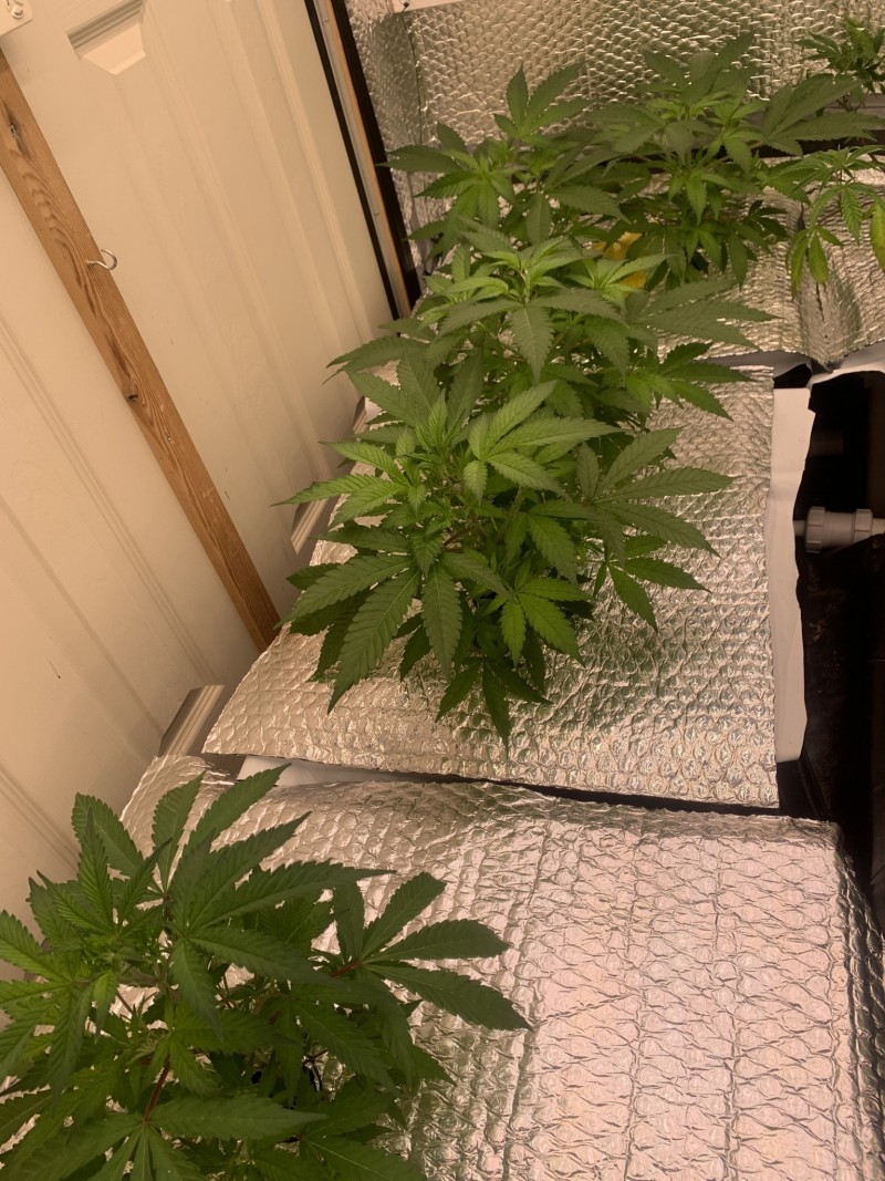 D8CC5EE1-A975-418B-9D4D-C21B68ABAF3B