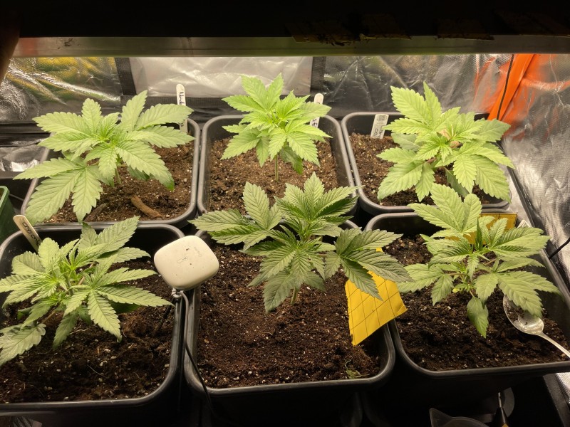 C2102B36-ADC5-466A-9847-E2B2138D9D7E