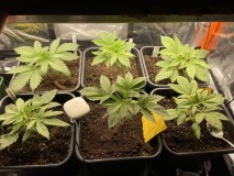 C2102B36-ADC5-466A-9847-E2B2138D9D7E