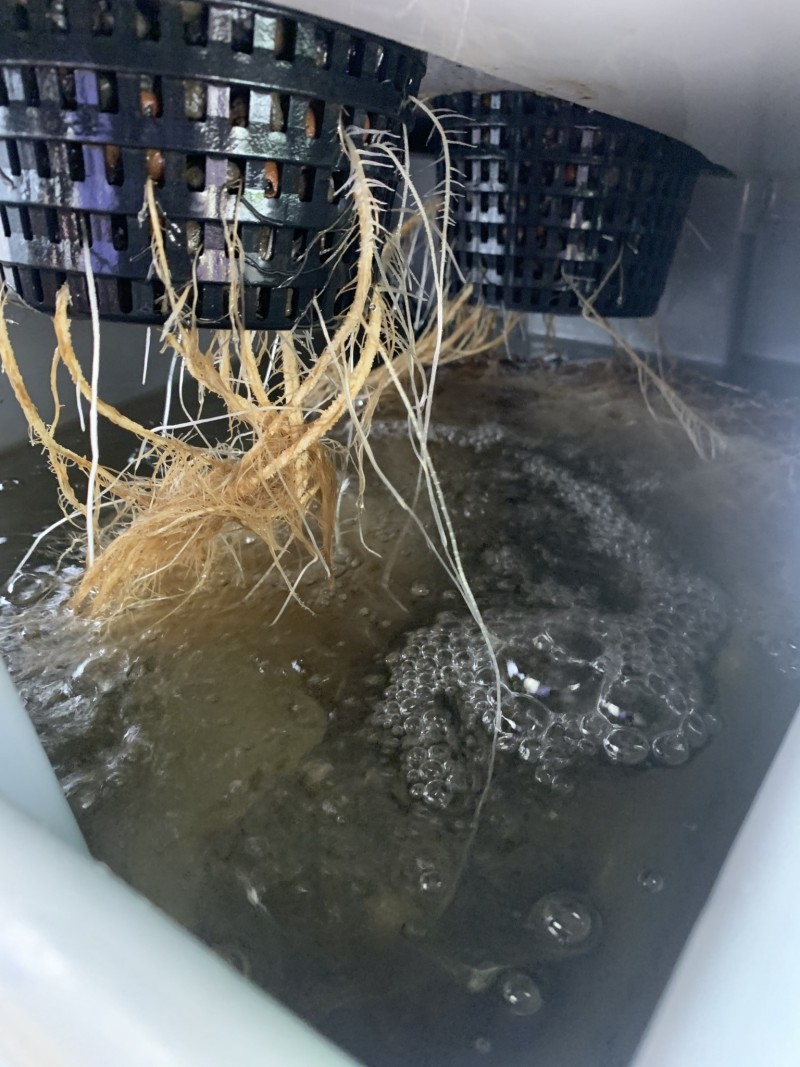 E33C55A0-1892-409F-ADFE-11DA698CDF63