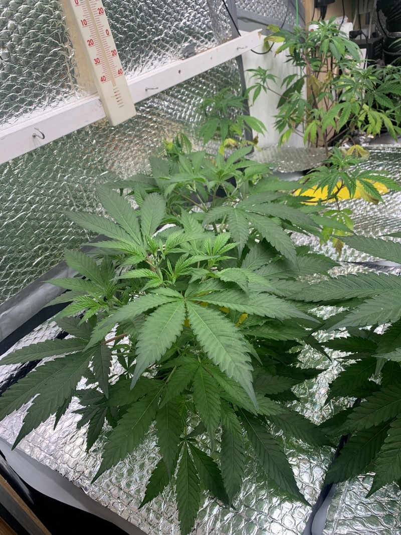 261C52A2-9B23-4179-8C18-EB884426A79E