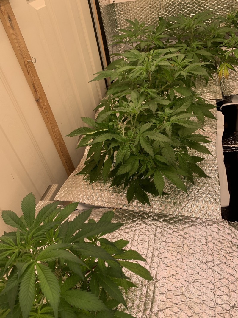 456DA822-E56B-4883-B2E0-B383C8CD1337