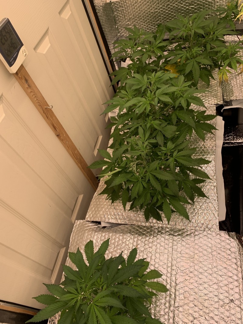 456DA822-E56B-4883-B2E0-B383C8CD1337