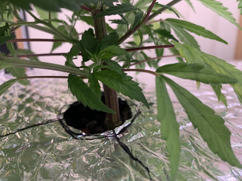 456DA822-E56B-4883-B2E0-B383C8CD1337