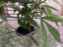 456DA822-E56B-4883-B2E0-B383C8CD1337