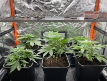 A2F84D6E-CA4C-4409-93AD-0BF65503FABE