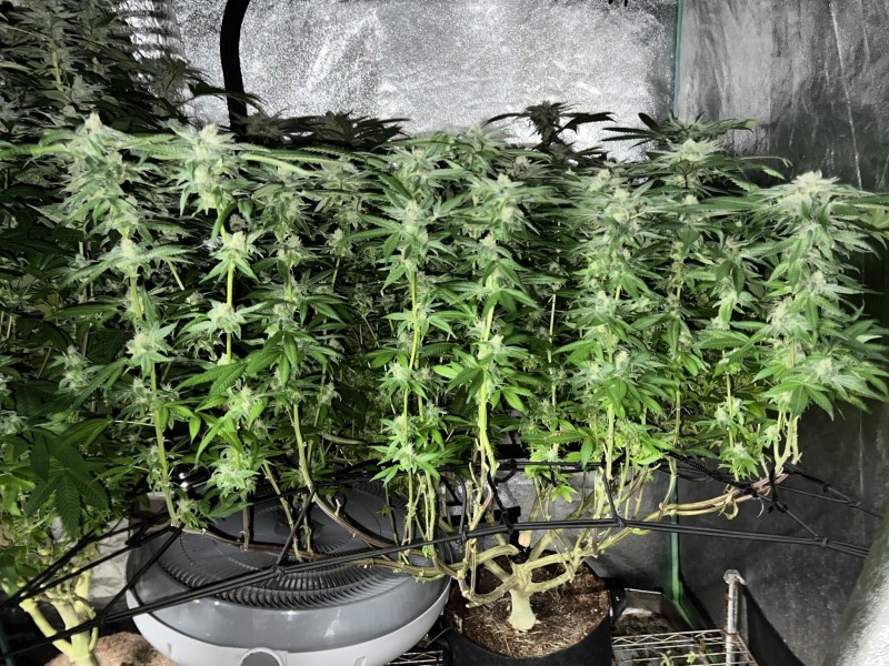 8F11FC71-F410-4BE7-B277-9FD20F37180C