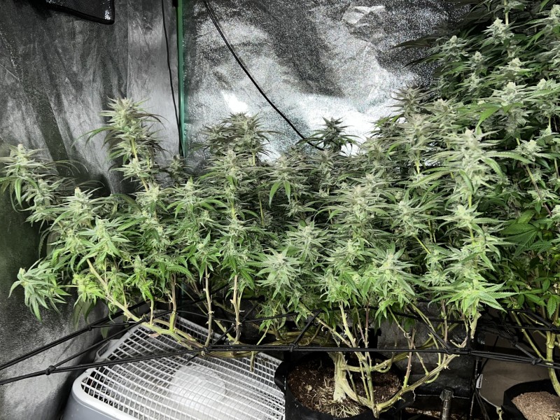 4479A5F8-274B-4CC3-B817-4CA900DB2B81