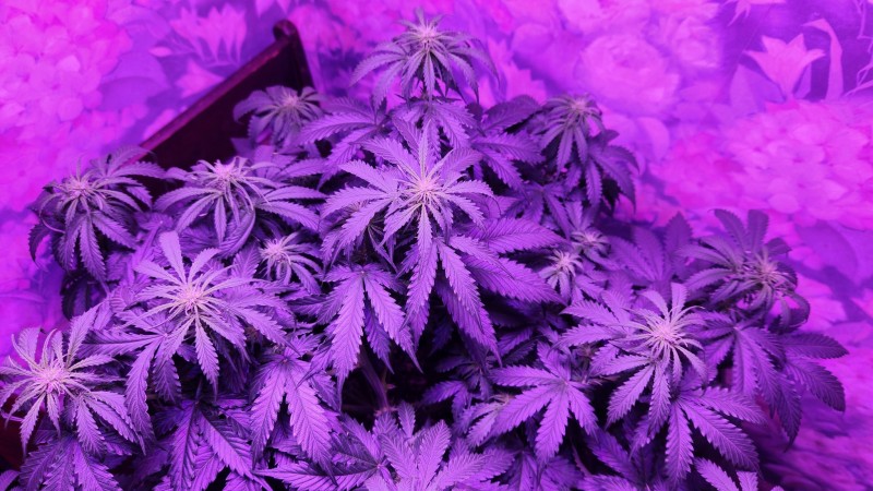 1679155838984317956418645673902