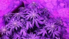 1679155838984317956418645673902