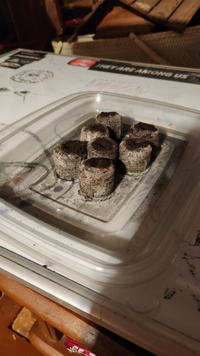 16791769359137526056696539164859