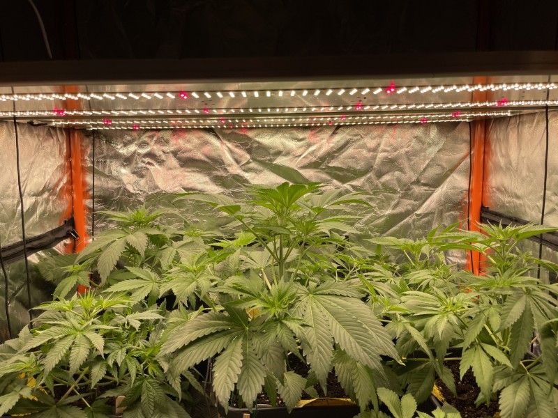 6B61AE43-FB0C-4D65-BFC2-4D6E4AEFDA46