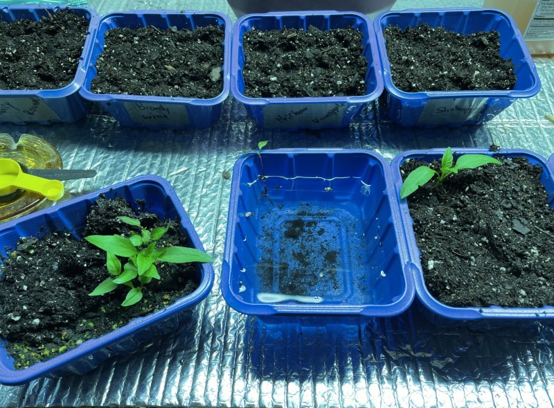 26532C54-37DA-440E-B880-0CA5E6AAF4FA