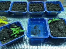 26532C54-37DA-440E-B880-0CA5E6AAF4FA