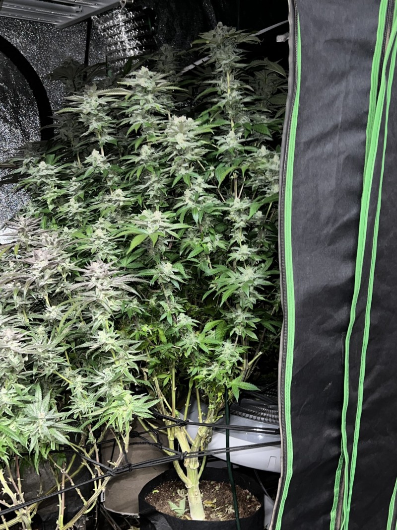 86F3EA9D-0108-4151-9A7A-FE123AEA4BE3