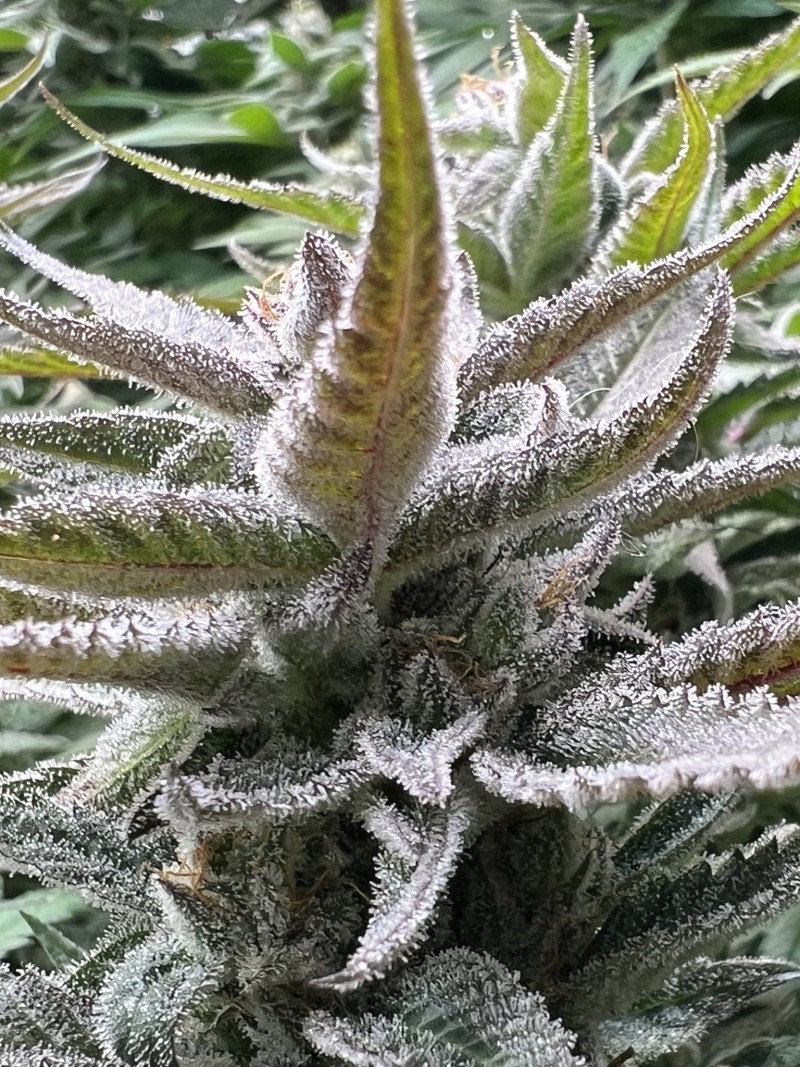 712EFFD3-40BD-4DFA-91CE-BA9AB8AAC1B7