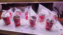 16795033481987004311965001583621