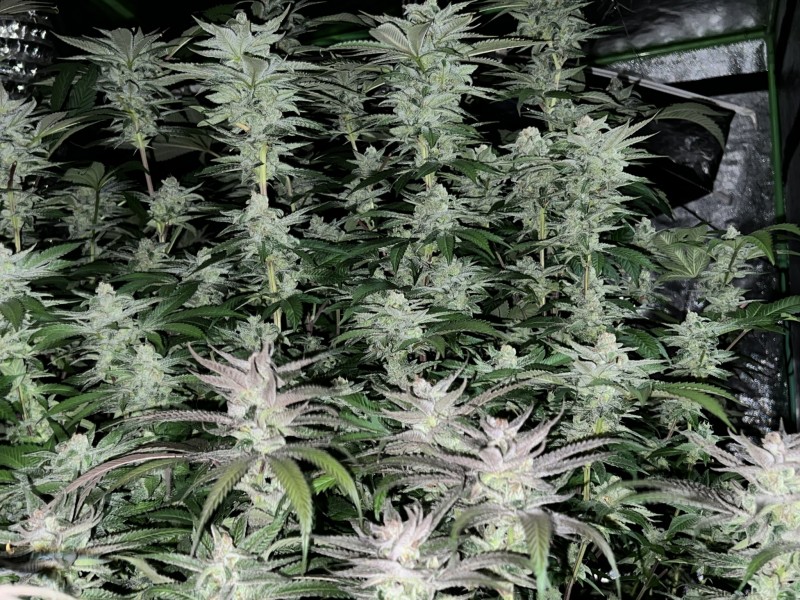 39B519BF-0F4D-4B14-9850-5F26BD67BC6D