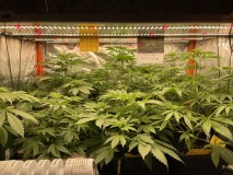 781A621F-BE7D-4CA2-A806-43F43E58DEB1