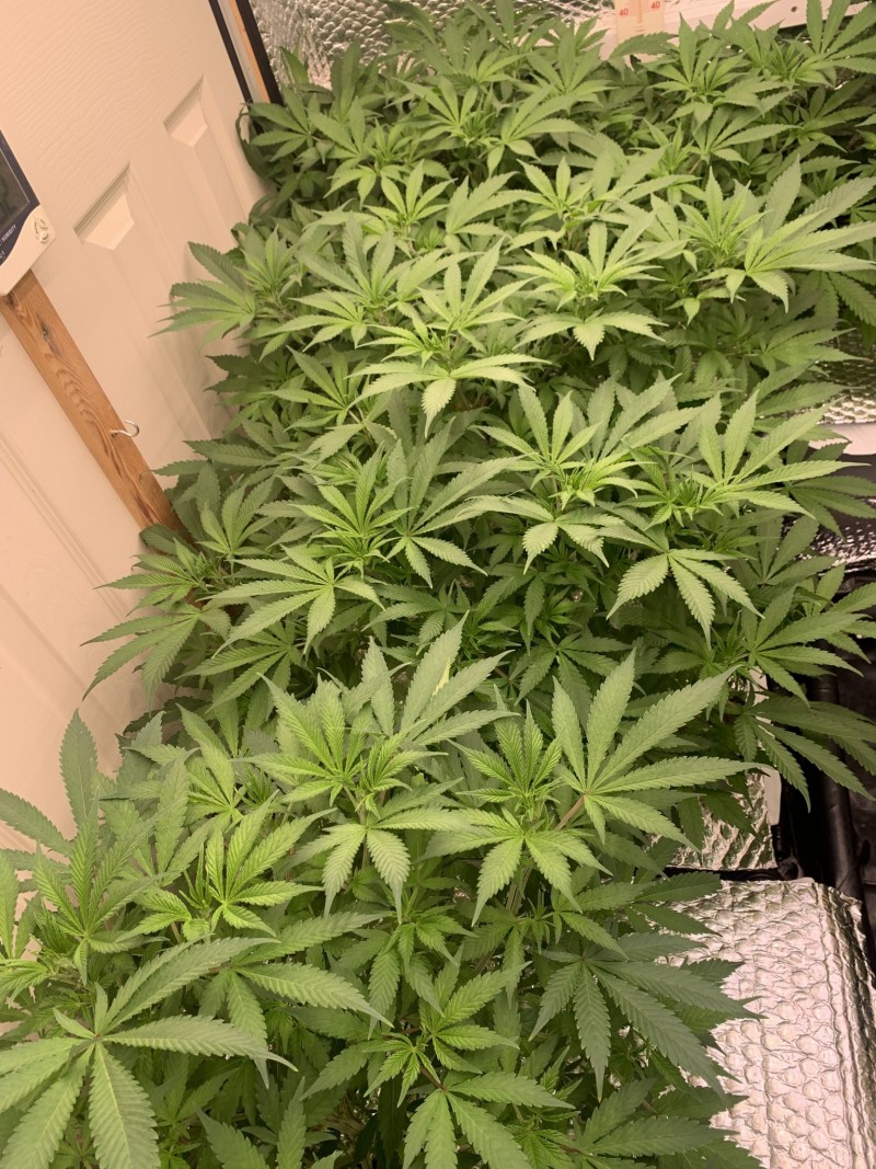 A027373E-83C8-44CC-97B7-5247430A6794