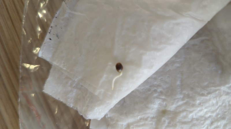 IMG_20230403_122452_196