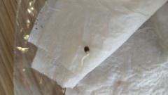 IMG_20230403_122452_196