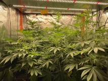 7C109A23-960D-4114-9B06-8851981CDCFA