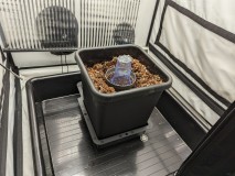 PXL_20230409_090819965