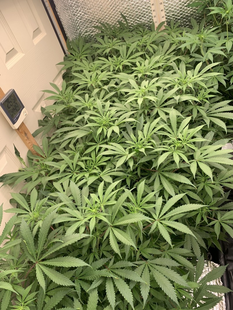 AA0FF2AD-5C58-4523-86D2-60038A8AE797