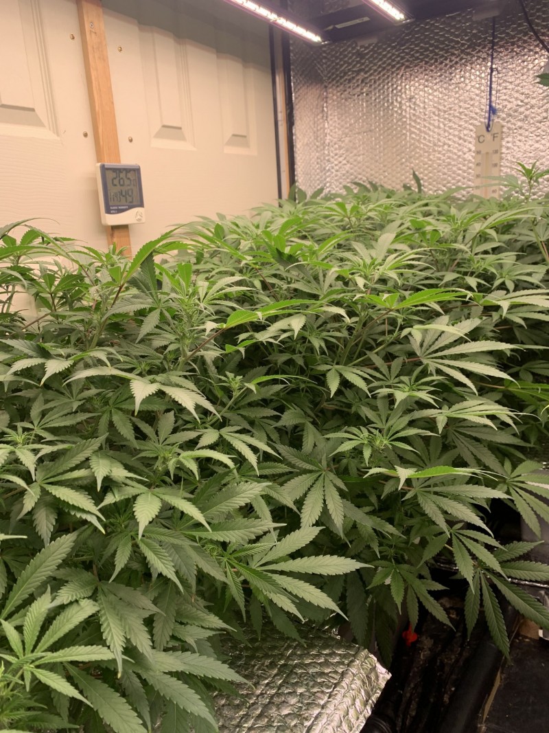 1684B9FD-B843-4466-A208-0185C43EFE0F