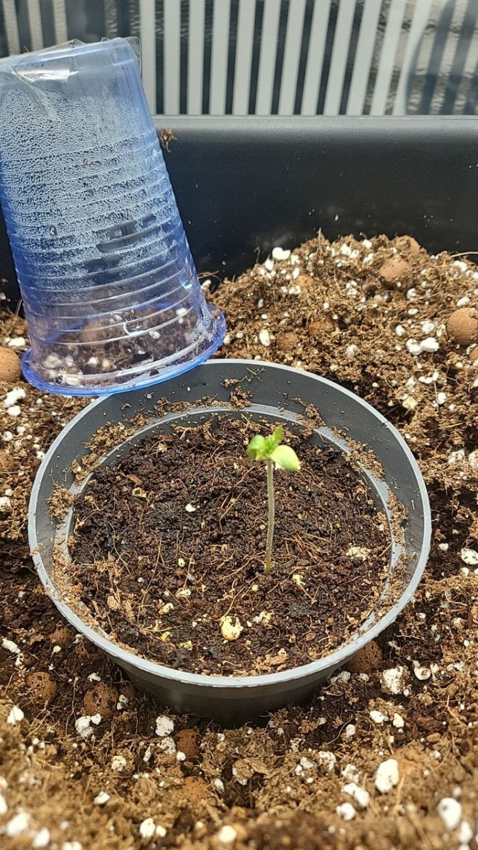 photo_2023-04-11_10-27-07