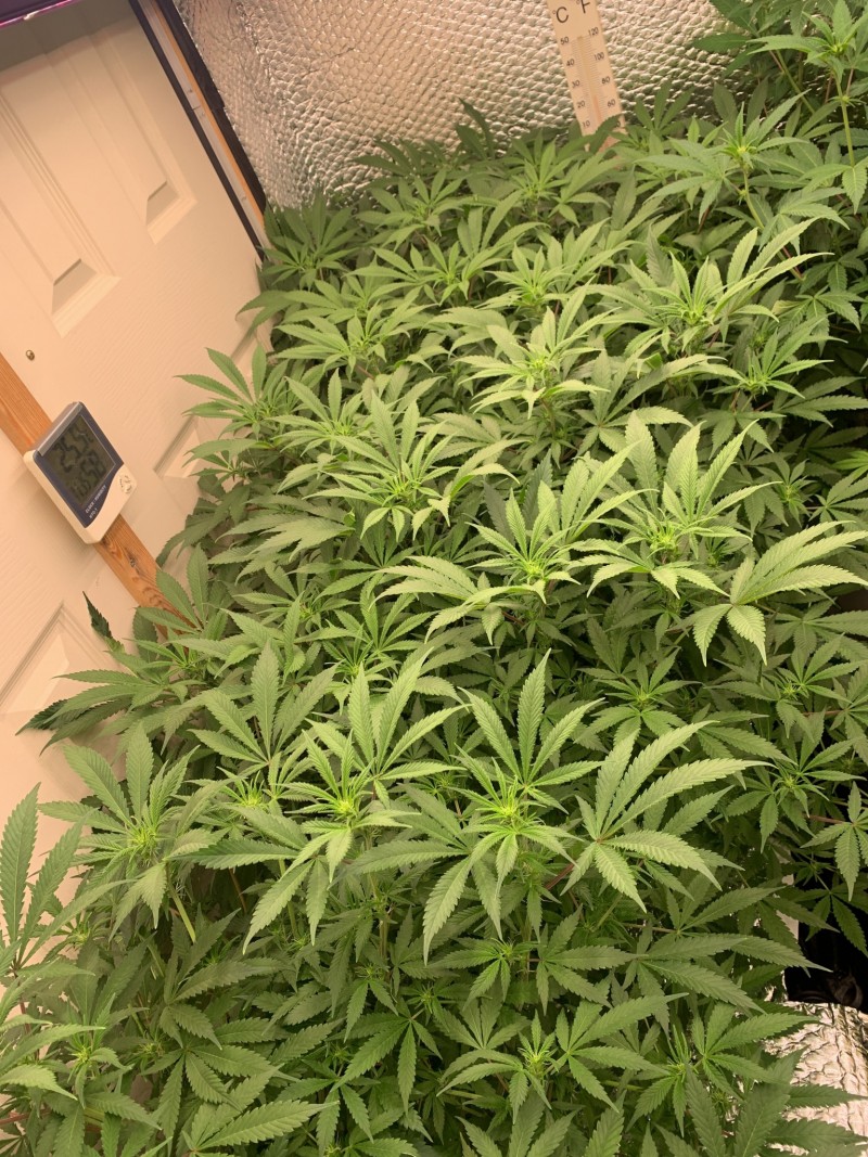 97264ACA-AE7D-49AC-A220-4B2E19734124