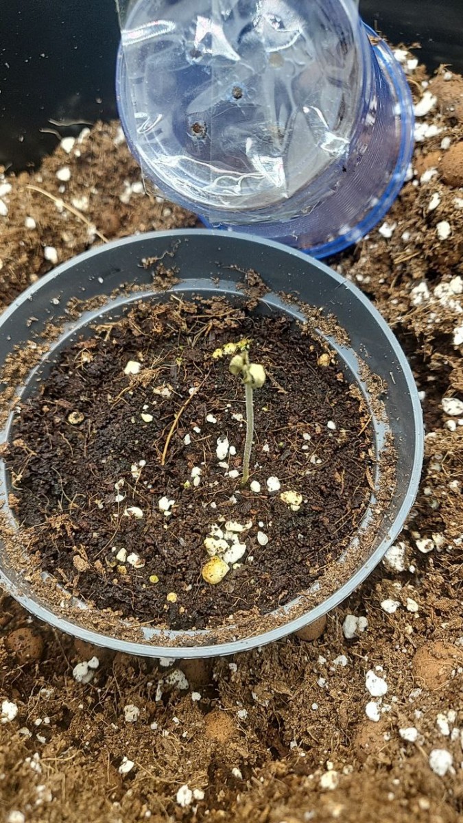 photo_2023-04-13_09-44-44