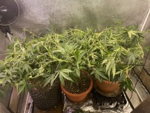 21BE6A64-0EDB-4328-BDF0-9BE1FC22DB5F