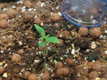 16824418603713204138669040281431