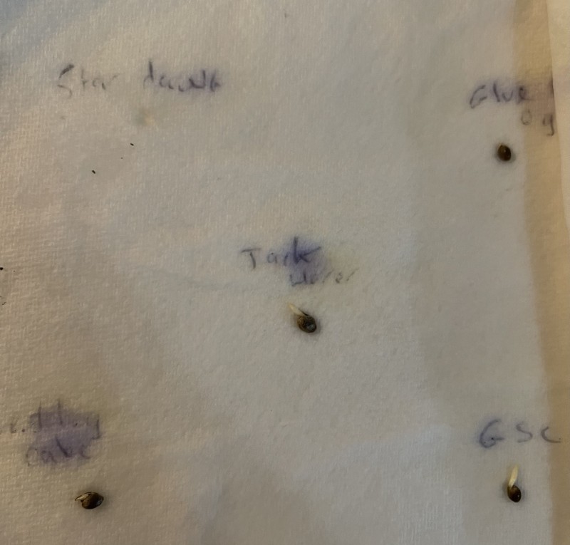 07D76D52-FAE6-4FDB-8B83-6DEF50D04203