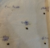 07D76D52-FAE6-4FDB-8B83-6DEF50D04203