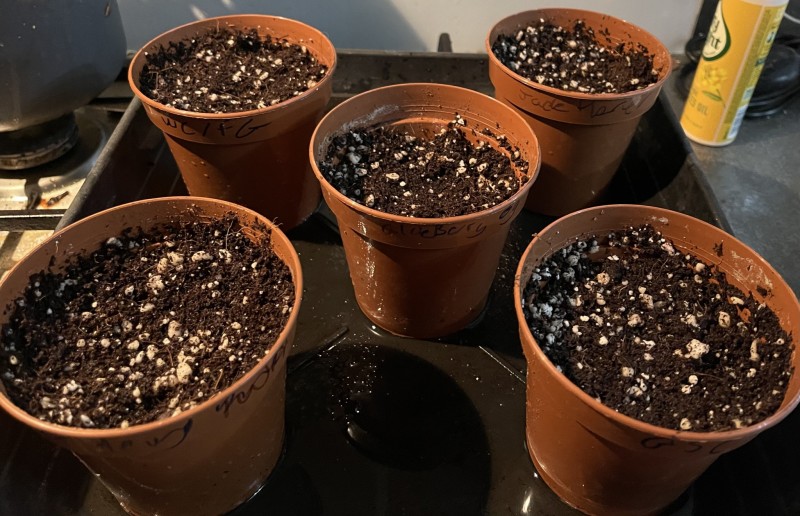 997569D9-A062-4613-B0E5-DE151575F8FB