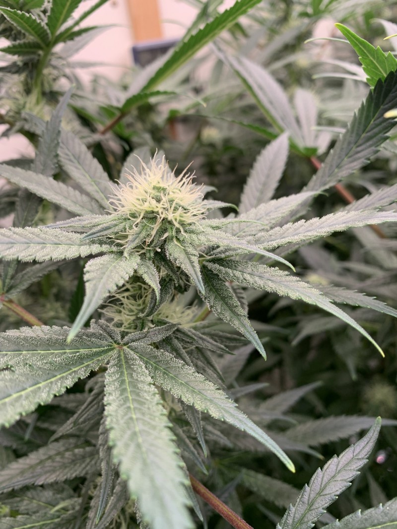 A7D6E51D-DA76-4D22-ADC2-9DD9A18A92FC