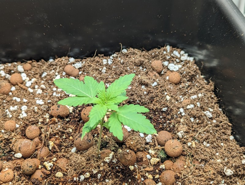 PXL_20230503_173138864