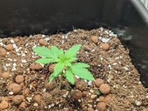 PXL_20230503_173138864