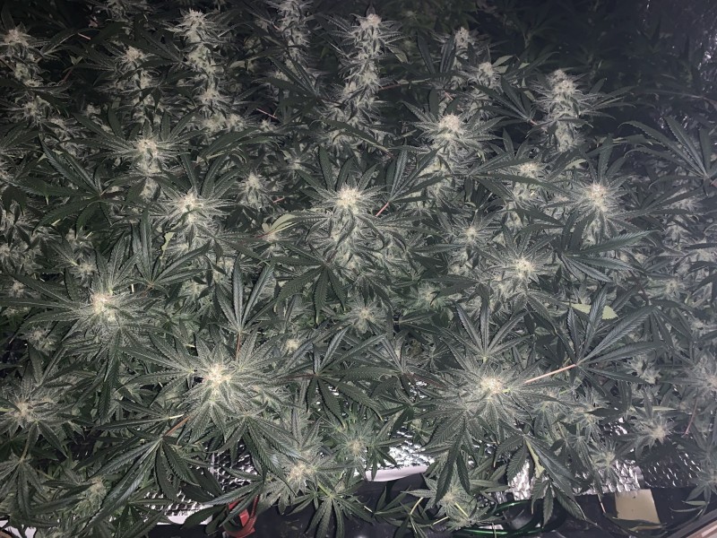 C32E466D-DA6B-43ED-9745-EFFF0973CFF2