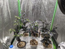 PXL_20230512_163200425