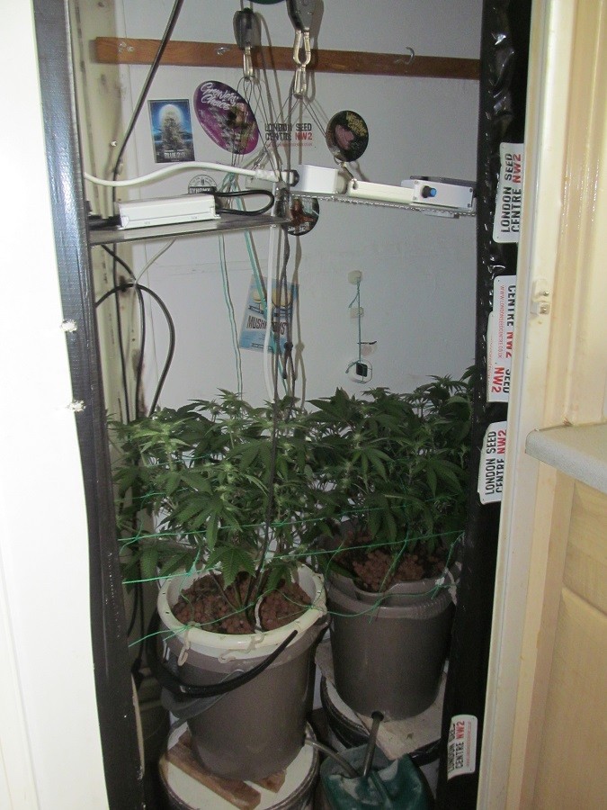 23days bloom on 23rd (6)